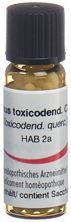 Omida rhus toxicodendron glob 30 C 2 g, image principale