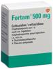 Fortam subst sèche 500 mg flac, image principale