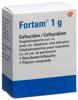 Fortam subst sèche 1 g flac, image principale