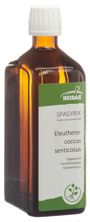 HEIDAK SPAGYRIK Eleutherococcus senticosus 500 ml, Hauptbild