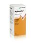 Pulmofor Hustensirup o Zucker Fl 200 ml, Hauptbild