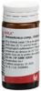 Wala Betula/Arnica comp Glob Fl 20 g, Hauptbild