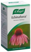 Vogel Echinaforce Tabl Fl 400 Stk, Hauptbild