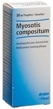 Myosotis comp Heel Tropfen Fl 30 ml, Hauptbild