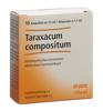 Taraxacum comp Heel Inj Lös 10 Amp 1.1 ml, Hauptbild