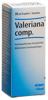 Valeriana comp Heel gouttes fl 30 ml, image principale