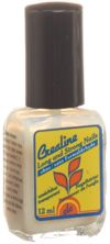 Crealine Nagelhärter Long and Strong matt 12 ml, Hauptbild