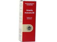 Sanum Amanita muscaria Tropfen D 6 30 ml, Hauptbild