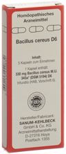 Sanum Bacillus cereus Kaps D 6 5 Stk, Hauptbild
