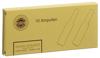 Formasan sol inj 10 amp 2 ml, image principale