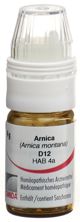 Omida Arnica Glob D 12 Dosierhilfe 4 g, Hauptbild