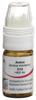 Omida Arnica Glob D 12 Dosierhilfe 4 g, Hauptbild