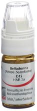 Omida Belladonna