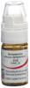 Omida Belladonna Glob D 12 Dosierhilfe 4 g, Hauptbild