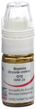 Omida bryonia glob 12 D doseur 4 g, image principale