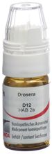 Omida Drosera Glob D 12 m Dosierhilfe 4 g, Hauptbild
