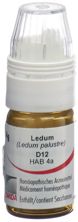 Omida Ledum Glob D 12 m Dosierhilfe 4 g, Hauptbild