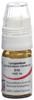 Omida Lycopodium Glob D 12 m Dosierhilfe 4 g, Hauptbild