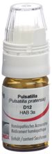 Omida pulsatilla glob 12 D a doseur 4 g, image principale