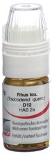 Omida rhus toxicodendron glob 12 D doseur 4 g, image principale