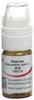 Omida rhus toxicodendron glob 12 D doseur 4 g, image principale