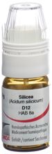 Omida Silicea Glob D 12 m Dosierhilfe 4 g, Hauptbild