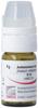Omida Antimonium tartaricum glob 12 D doseur 4 g, image principale