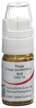 Omida Thuja Glob D 12 m Dosierhilfe 4 g, Hauptbild