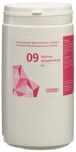 PHYTOMED SCHÜSSLER Nr9 Natr phos