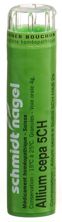 SN allium cepa gran 5 CH 4 g, image principale
