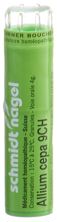 SN Allium cepa Gran CH 9 4 g, Hauptbild