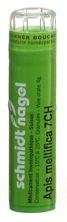 SN Apis mellifica Gran CH 7 4 g, Hauptbild