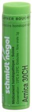 SN arnica glob 30 CH 1 g, image principale