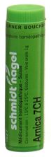 SN Arnica Glob CH 7 1 g, Hauptbild