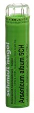SN arsenicum album gran 5 CH 4 g, image principale