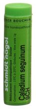 SN caladium seguinum glob 9 CH 1 g, image principale