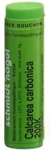 SN calcarea carbonica glob 200 K 1 g, image principale