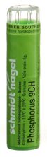 SN Phosphorus Gran CH 9 4 g, Hauptbild