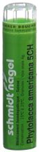 SN Phytolacca americana Gran CH 5 4 g, Hauptbild