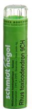 SN Rhus Toxicodendron Gran CH 9 4 g, Hauptbild