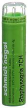 SN staphysagria gran 7 CH 4 g, image principale
