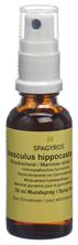 Spagyros Gemmo Aesculus hippo Glyc Maz D 1 30 ml, Hauptbild