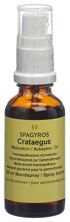 Spagyros Gemmo Crataegus laevi Glyc Maz D 1 30 ml, Hauptbild