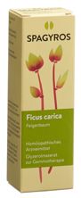 Spagyros Gemmo ficus carica mac glyc 1 D 30 ml, image principale