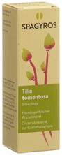 Spagyros Gemmo tilia tomentosa mac glyc 1 D 30 ml, image principale