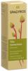 Spagyros Gemmo tilia tomentosa mac glyc 1 D 30 ml, image principale