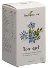 Phytopharma bourrache caps 500 mg 190 pce, image principale