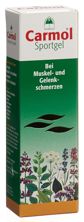 Carmol Sportgel Tb 80 ml, Hauptbild