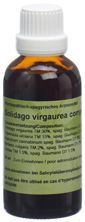 Spagyros Solidago virgaurea comp Urtinkt 50 ml, Hauptbild