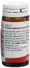 Wala Prunus spinosa ferm c Ferro Glob D 3 Fl 20 g, Hauptbild